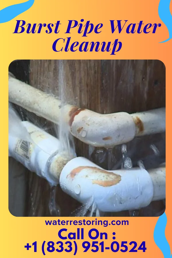 Burst Pipe Water Cleanup in Upham, ND