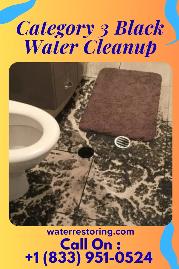 Category 3 Black Water Cleanup in Upham, ND